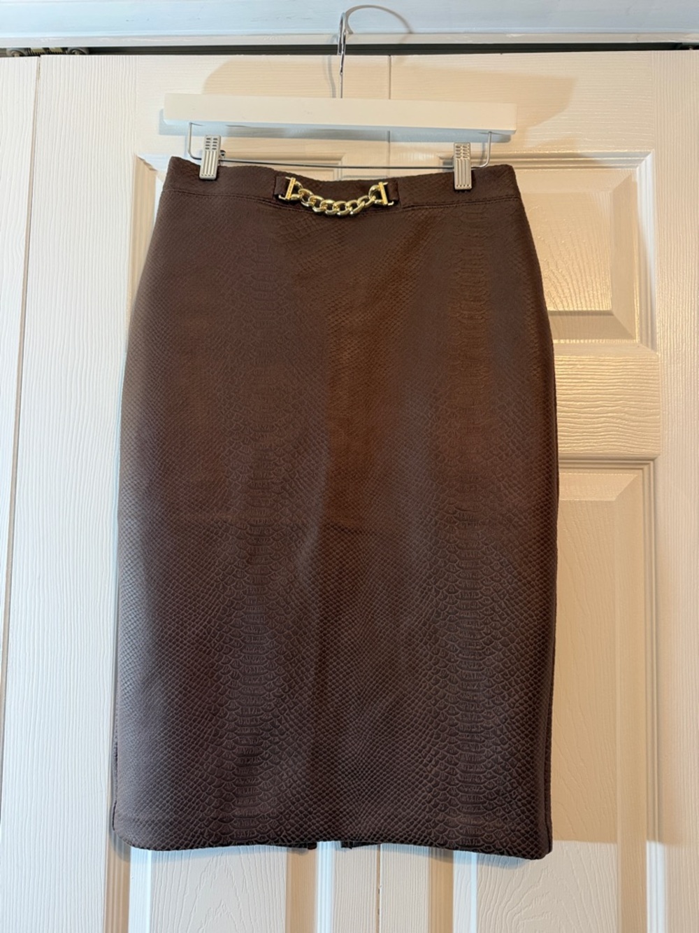 Brown Pencil Skirt with Gold Accent